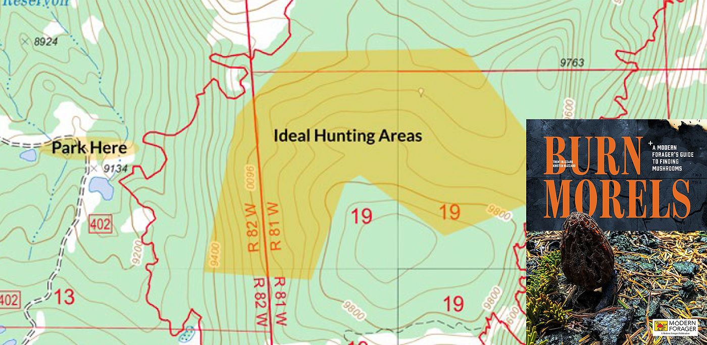 Burn Morel maps and book